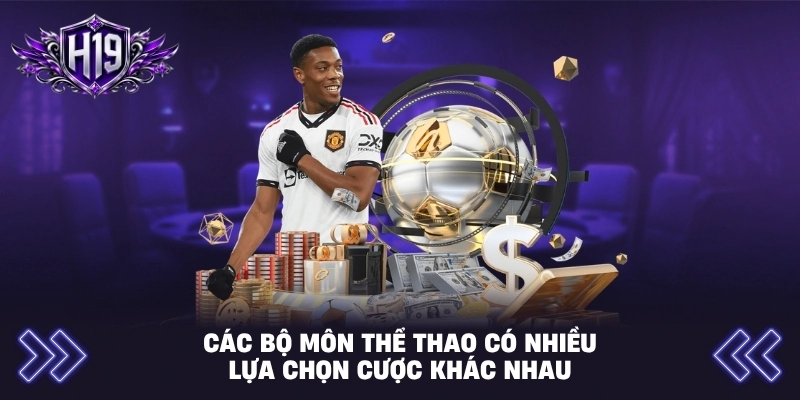 Các bộ môn thể thao có nhiều lựa chọn cược khác nhau